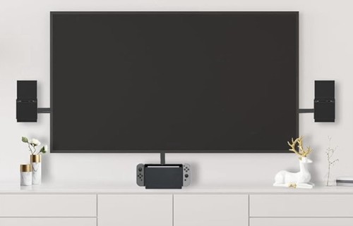 Bose flat screen surround
