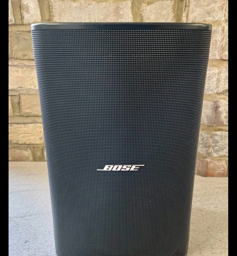 Bose dm6se designmax loud - designmax,